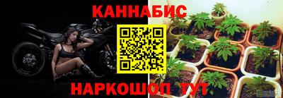 молекула духа Краснознаменск