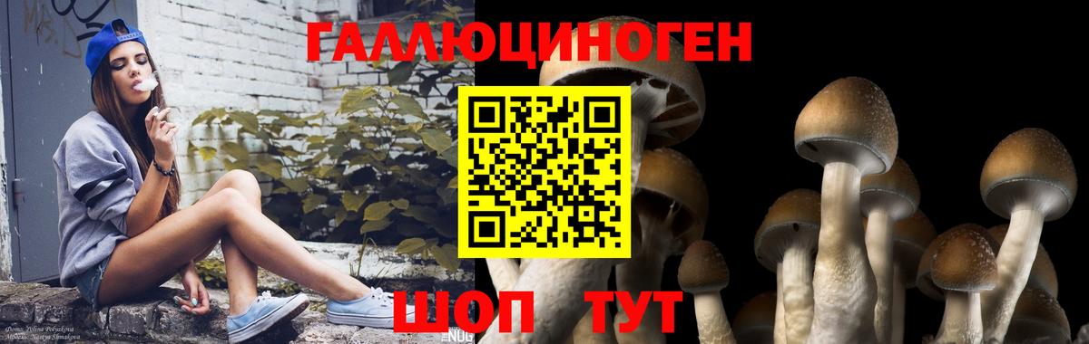 Карталы  Галлюциногенные грибы MAGIC MUSHROOMS  Вход с VPN 